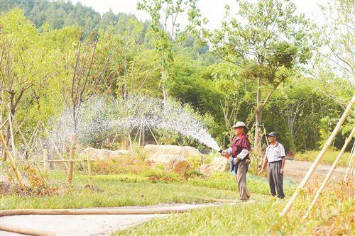 徐州臥牛山公園雛形初現(xiàn) 系山體生態(tài)修復(fù)公園