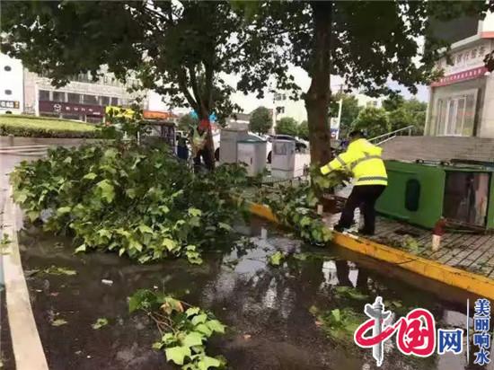 強降雨 公安局交警大隊確保交通暢通