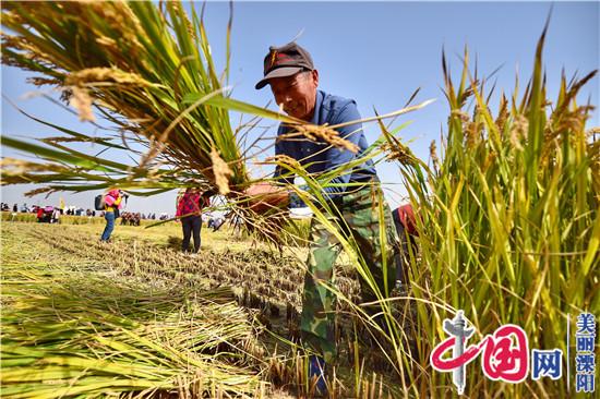 蘇南第一方 慶豐稻花香——溧陽“豐收節”人氣爆棚