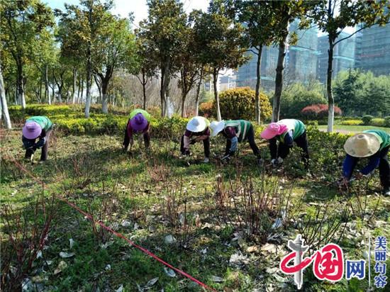 句容市城管局園林管理中心：防疫綠化兩不誤