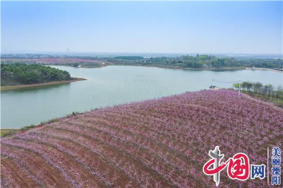 溧陽桃農徐華東的農旅融合之道