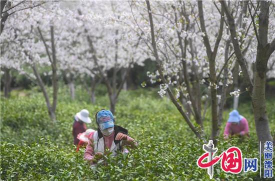 溧陽市天目湖鎮(zhèn)：多措并舉 復(fù)工復(fù)產(chǎn)按下“快進鍵”