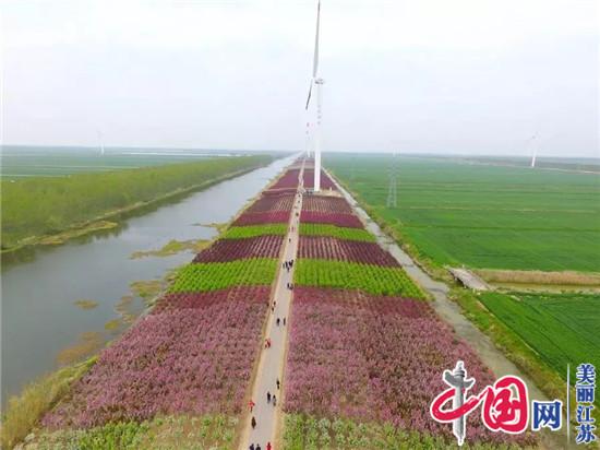 全域旅游！ 射陽鋪陳美麗新畫卷