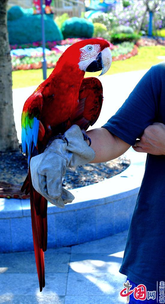 無錫動物園國慶七天樂