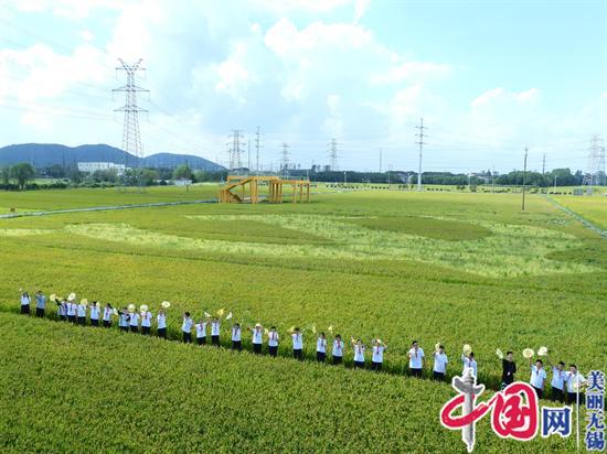 在希望的田野上