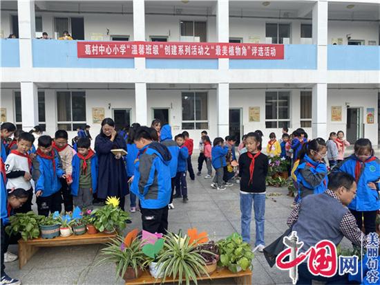 綠色植物角 幸福來報到——句容葛村中心小學“溫馨班級”創建之“植物角”評比活動