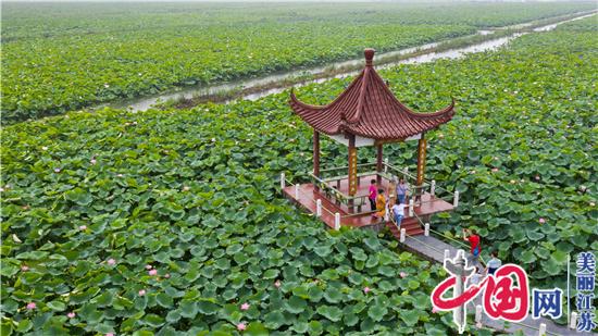 全域旅游讓金湖美麗生“金”