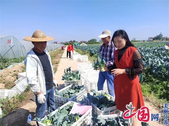 碧波蕩漾綻芳華——記江蘇省響水縣蔬菜生產(chǎn)技術(shù)指導(dǎo)站站長徐亞蘭