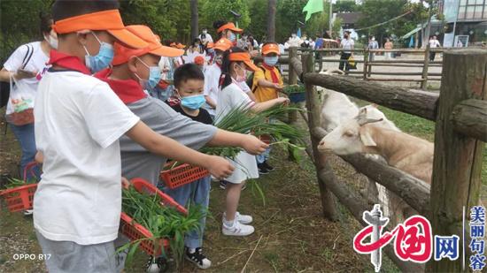 句容市崇明街道：親近大自然 關愛末成年人