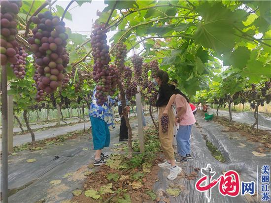 江蘇響水：社區(qū)志愿者送關(guān)愛 暑期留守兒童歡樂多