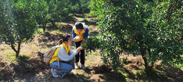 四川農業大學“米鍋助農團”聚焦筑巢引鳳 轉型生態文明